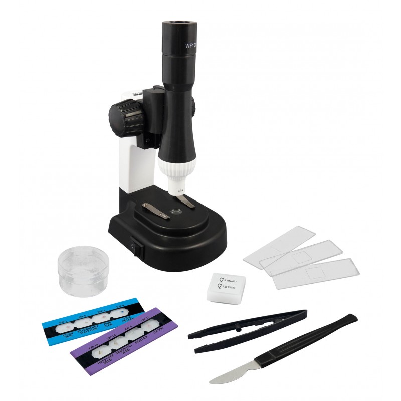 related-items
